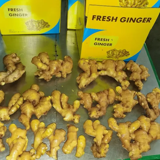 Hot Sale Fresh New Crop Yellow Fresh Ginger