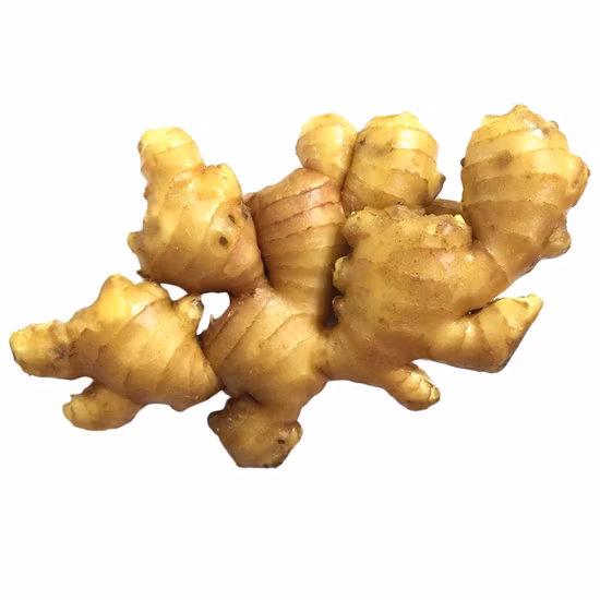 Hot Sale Fresh New Crop Yellow Fresh Ginger