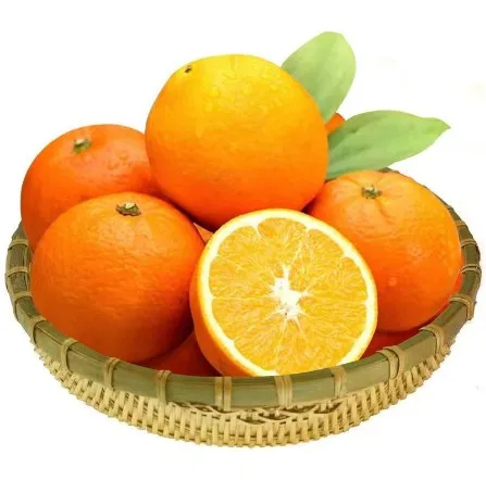 Chinese Fresh Wogan Special Orange Sour Sweet