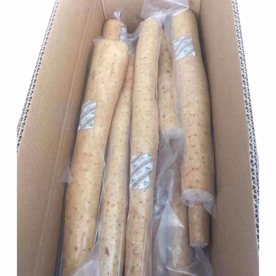 China Fresh Health Food Yam cinese con confezionamento sottovuoto