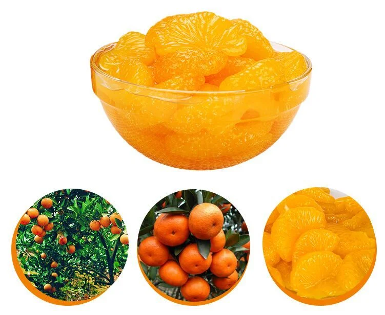 Hot Selling Canned Mandarin Orange with Best Quality