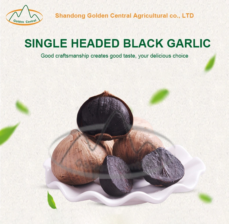 Top Quality Wholesale Black Garlic Exporter From Shandong