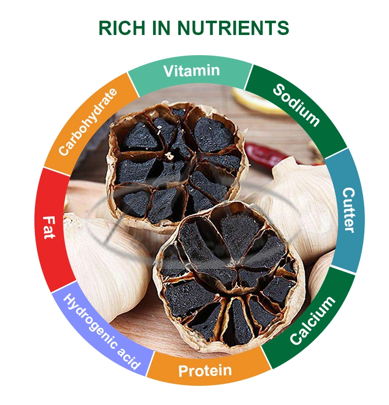 Top Quality Wholesale Black Garlic Exporter From Shandong