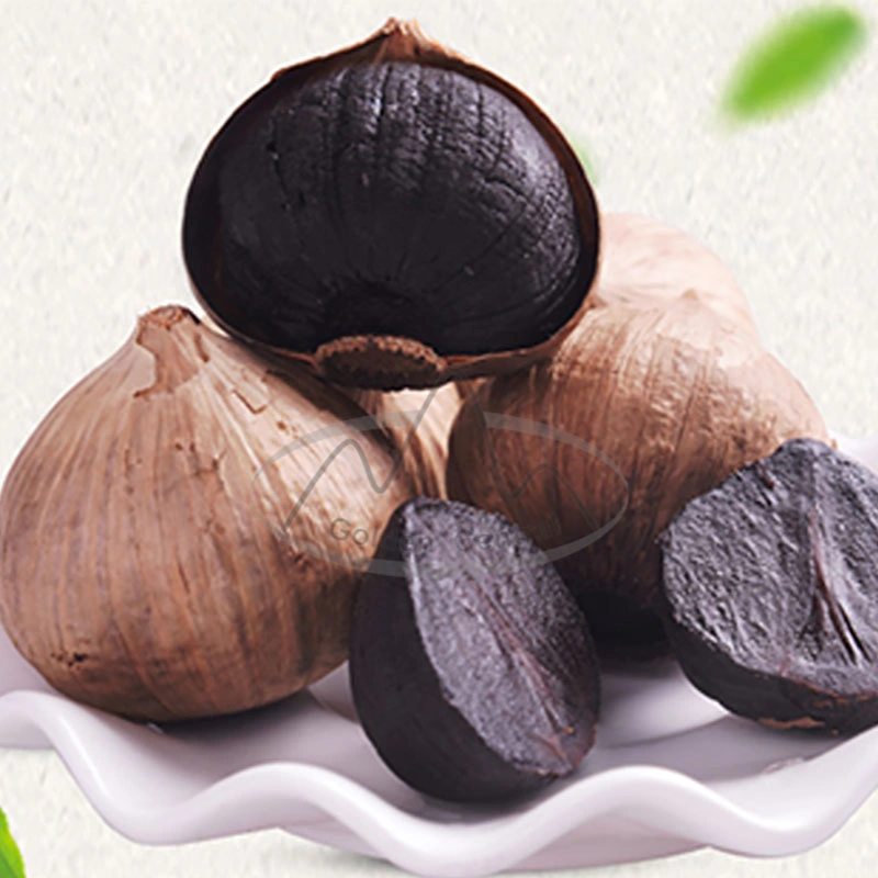 High Level Best Price Solo Black Garlic