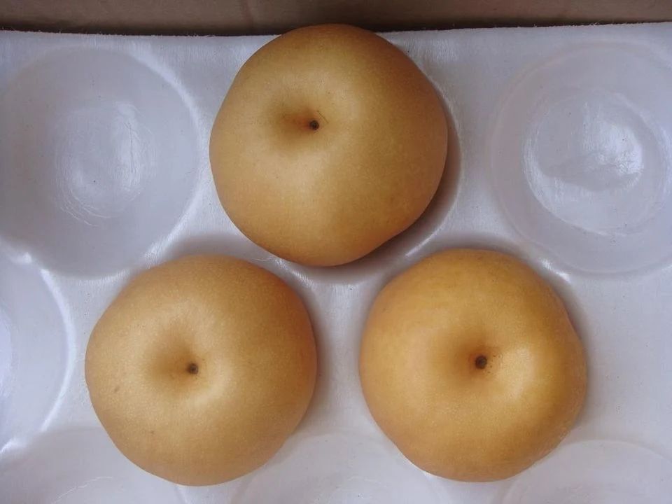 China Fresh Crown Qiuyue Pear Fruit with ISO HACCP Apple Orange Grape