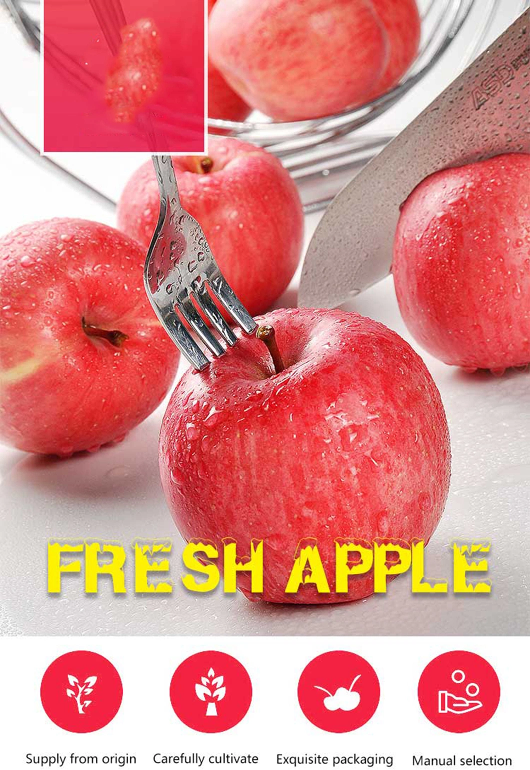 Apple Fruit Fresh Apple with Competitive Price Fresh Apple