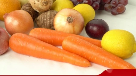 Carota fresca del nuovo raccolto cinese di alta qualità per l'esportazione