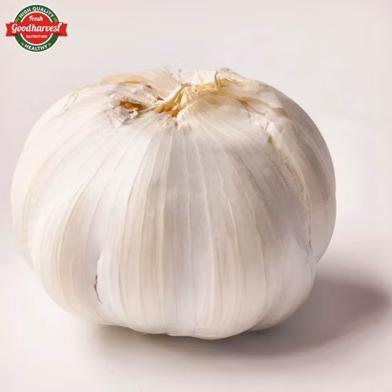 Aglio nero a testa singola biologico fermentato cinese a buon mercato all'ingrosso