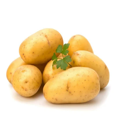 Vendita di patate fresche per l'esportazione di patate di buona qualità